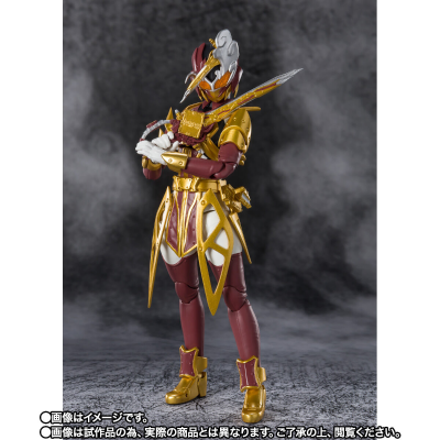 S.H.Figuarts  假面骑士佩剑 昆虫大百科