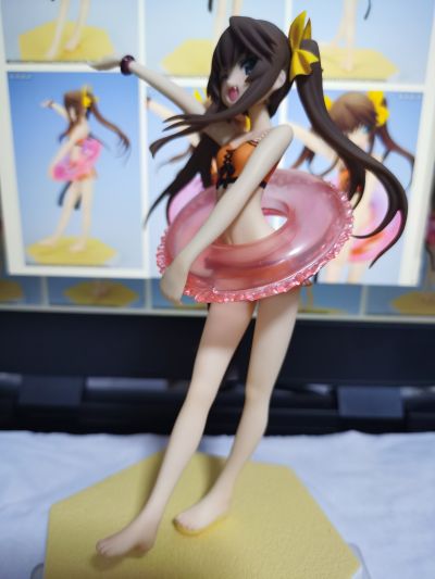 沙滩女王 IS〈无限斯特拉托斯〉 凰铃音 泳装