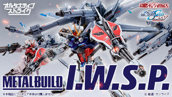 METAL BUILD 机动战士高达SEED MSV I.W.S.P.