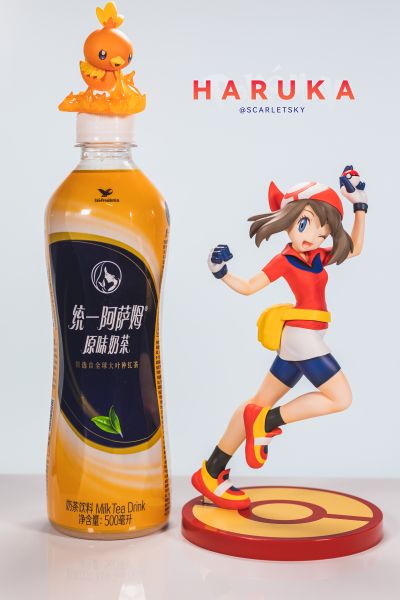ARTFX J 精灵宝可梦 小遥 与 火稚鸡