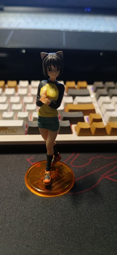 N・H・Kに阳子そ！ 中原岬 Limited Edition