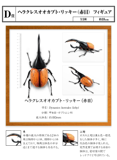 一番赏昆虫 世界昆虫博物馆 D奖 利奇长戟大兜虫（红眼）
