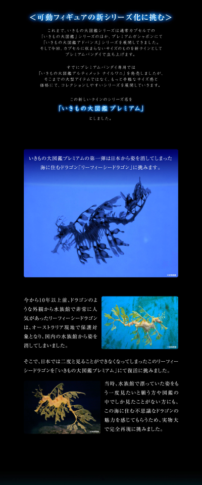 高级生物大图鉴  叶海龙