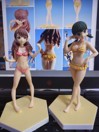 BEACH QUEENS 花开物语 和仓结名