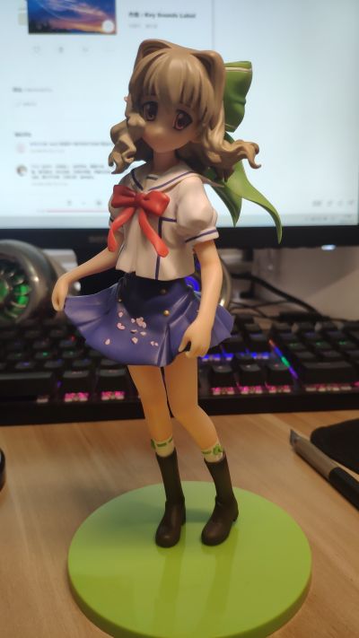 D.C.S.S. 艾西亚