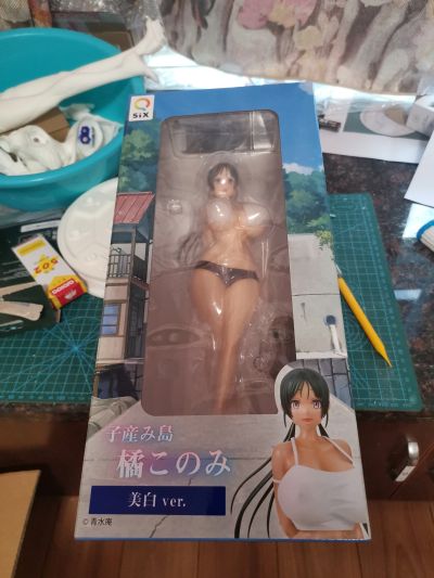 育儿岛 橘木乃美 美白版