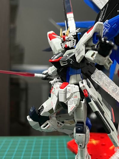 RG 1/144 高达基地专属商品   自由高达 GCP版