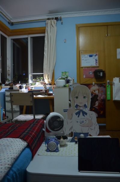 玉子市场 馅子＆德拉