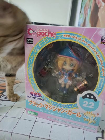 Cu-poche 游☆戯☆王 デュエルモンスターズ 黑魔导少女 Ver.1.5