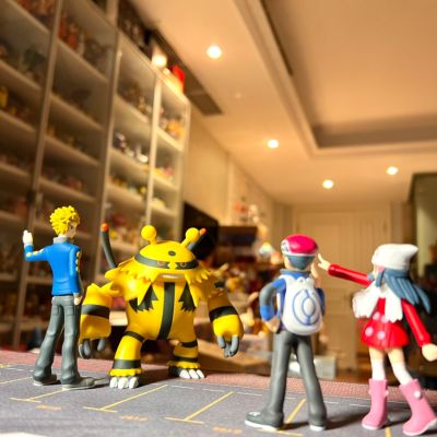 宝可梦缩尺世界 神奥地区 电次与电击魔兽
