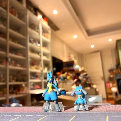宝可梦比例世界 神奥地区2 套装