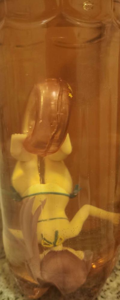 沙滩女王 IS〈无限斯特拉托斯〉 凰铃音 泳装