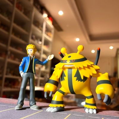宝可梦缩尺世界 神奥地区 电次与电击魔兽