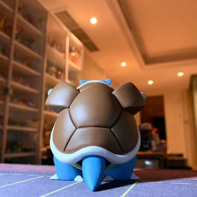 宝可梦比例世界 关都地区 水箭龟