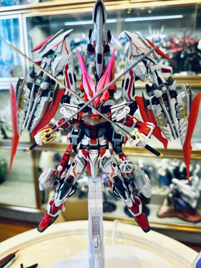 METAL BUILD 机动战士高达SEED ASTRAY R 异端高达  红龙之翼
