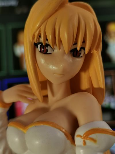 MELTY BLOOD Act Cadenza Extra Figure Vol.4 紅い月（アルクェイド） 