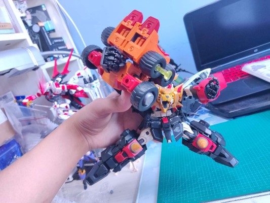 RG   黄金玛格