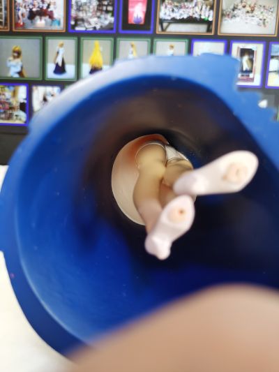 MELTY BLOOD Act Cadenza Extra Figure Vol.4 紅い月（アルクェイド） 