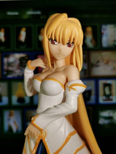MELTY BLOOD Act Cadenza Extra Figure Vol.4 紅い月（アルクェイド） 