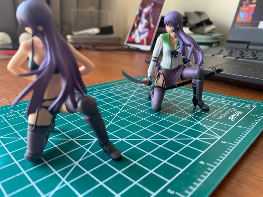 学园黙示录 HIGHSCHOOL OF THE DEAD 毒岛冴子 