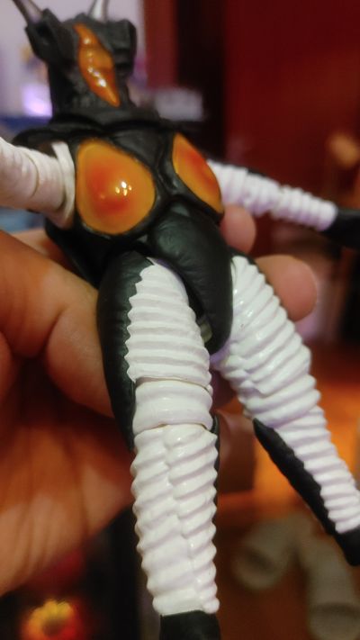 S.H.Figuarts   芝顿