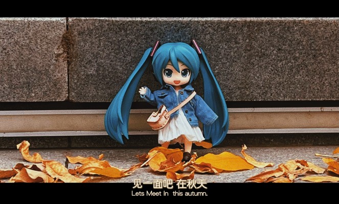 带miku赏秋啦
