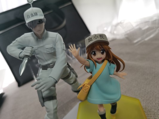 POP UP PARADE 工作细胞!！ 白细胞（中性粒细胞）