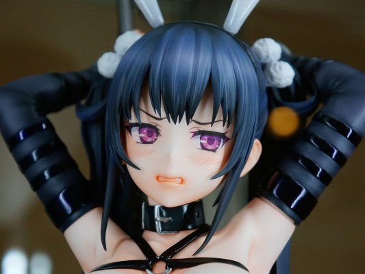 白鸟由纪