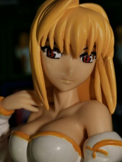 MELTY BLOOD Act Cadenza Extra Figure Vol.4 紅い月（アルクェイド） 