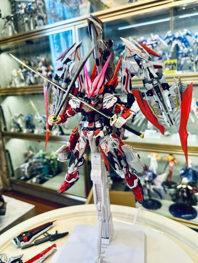 METAL BUILD 机动战士高达SEED ASTRAY R 异端高达  红龙之翼