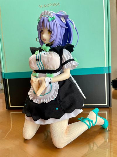 猫娘乐园 桂