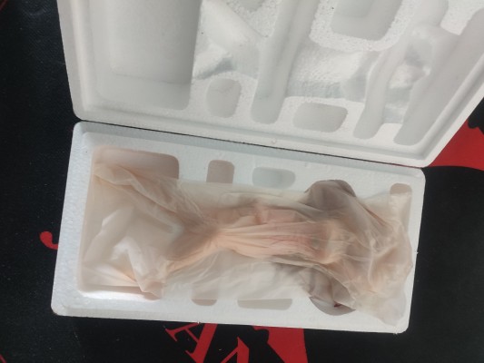 拜托了老师  风间瑞穗 strawberry pocky ver.