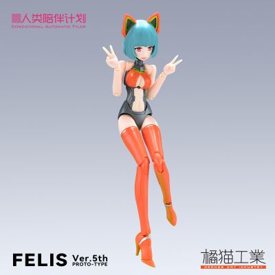 人类陪伴计划 CAT.Felis CAT-002 菲利斯 5周年纪念版