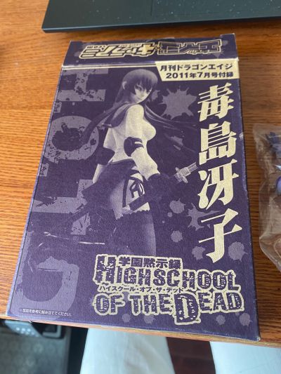 学园黙示录 HIGHSCHOOL OF THE DEAD 毒岛冴子 