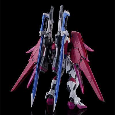 RG 1/144  命运脉冲高达