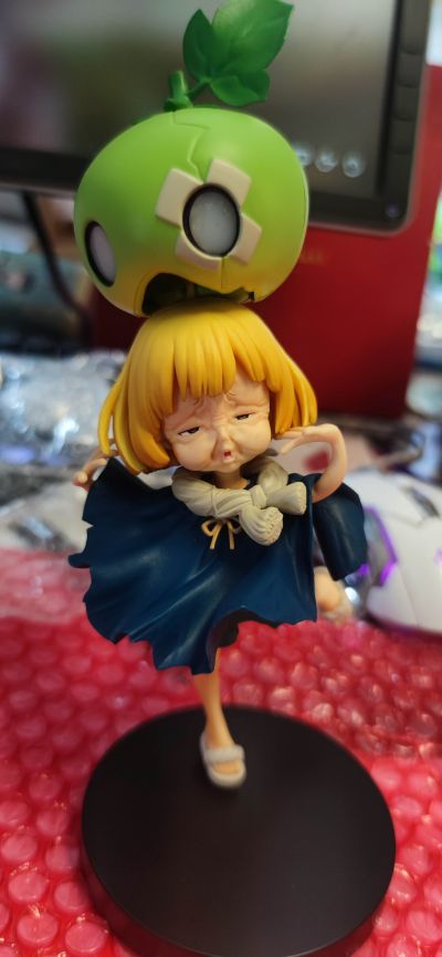 石纪元 西瓜