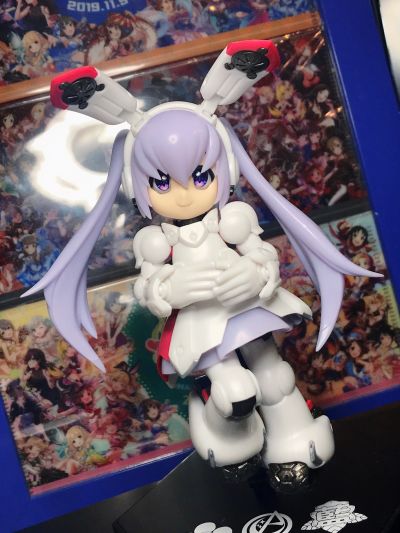 一击杀虫！！小惠惠 LEGACY DG-001LN 兔装备  