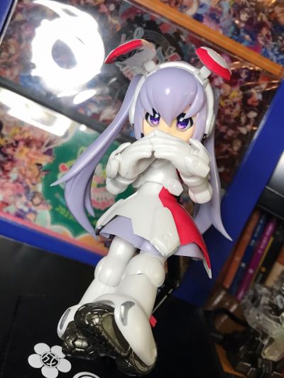 一击杀虫！！小惠惠 LEGACY DG-001LN 兔装备  