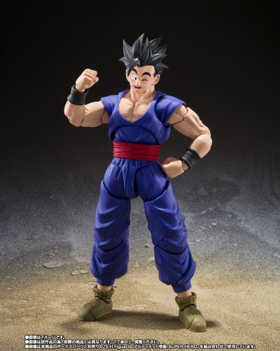 S.H.Figuarts  龙珠超：超级人造人 斑斑 / 小芳