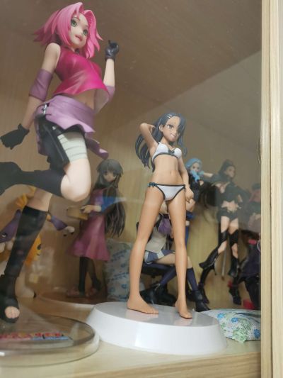 Summer Queens 不要欺负我，长瀞同学 长瀞 半成品组装