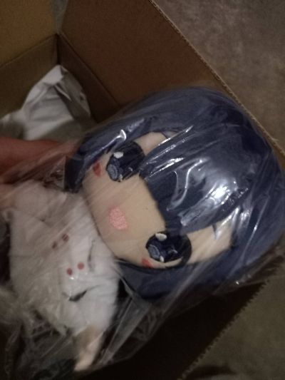 Coreful  青春猪头少年不会梦到怀梦美少女 牧之原翔子