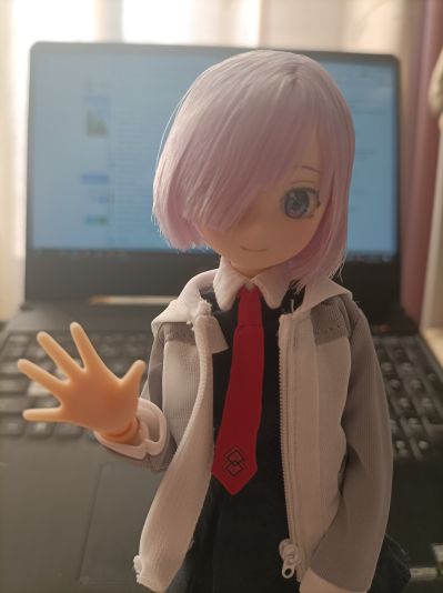 PureNeemo角色系列 No.141  命运-冠位指定 玛修·基列莱特