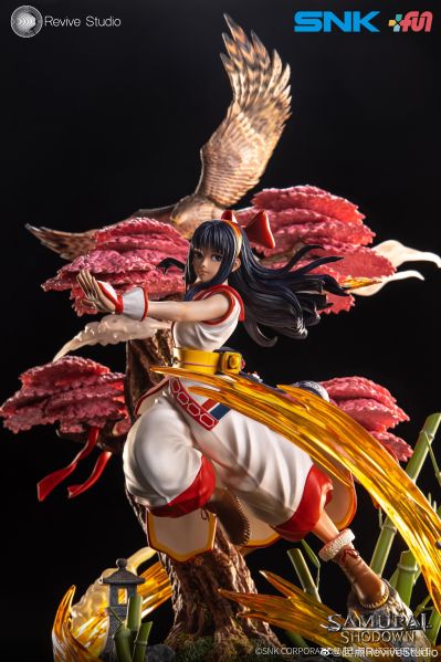 侍魂 晓 娜可露露