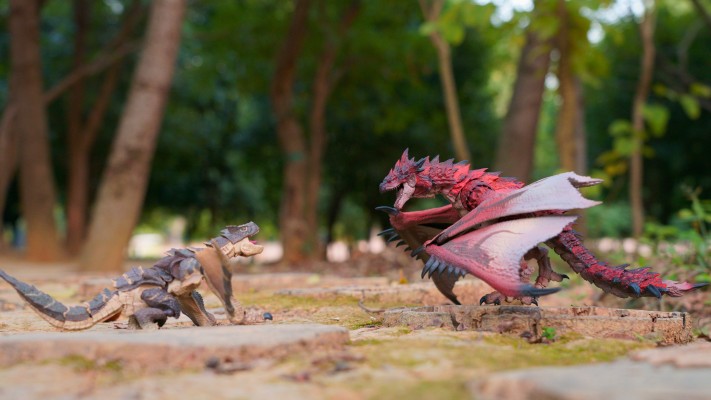 S.H.MonsterArts 怪物猎人 雄火龙