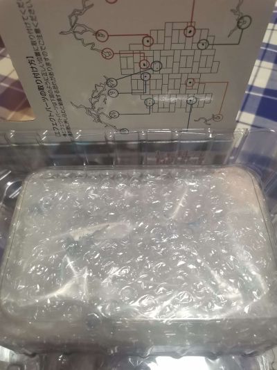 某科学的超电磁炮T 御坂美琴