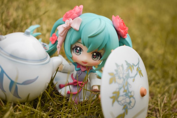 初音未来 花织雨润