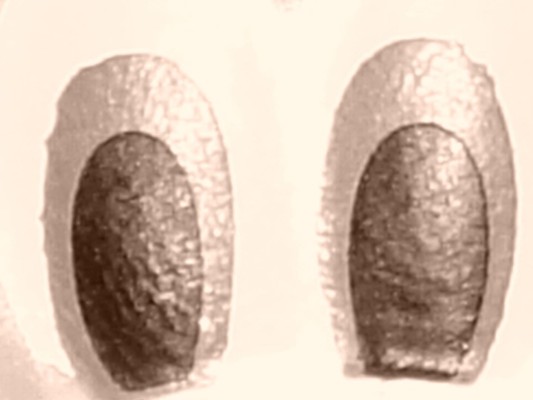 UDF No.667  猫和老鼠系列 3 汤姆 (保龄瓶)