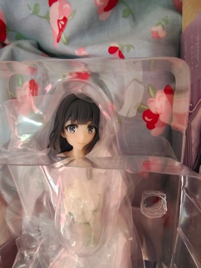 Coreful  青春猪头少年不会梦到怀梦美少女 牧之原翔子