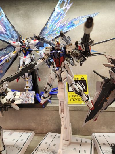 METAL BUILD 机动战士高达SEED MSV I.W.S.P.