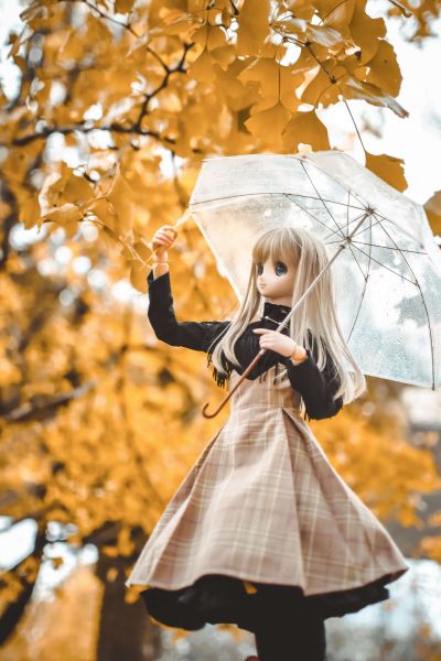 Dollfie Dream Dynamite DDdy 美子
